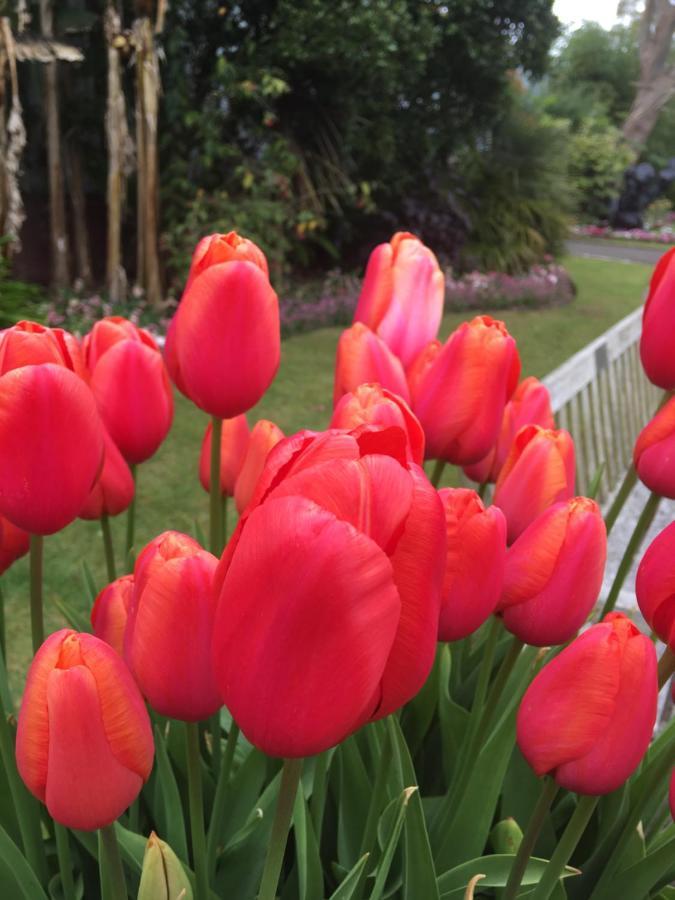 Wynberg House Bed & Breakfast Swansea Luaran gambar