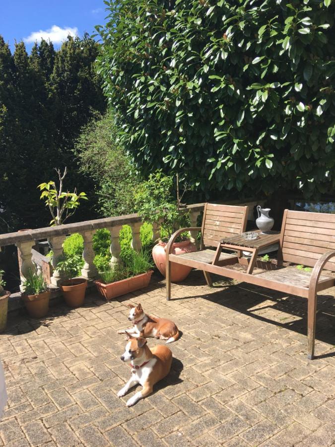 Wynberg House Bed & Breakfast Swansea Luaran gambar